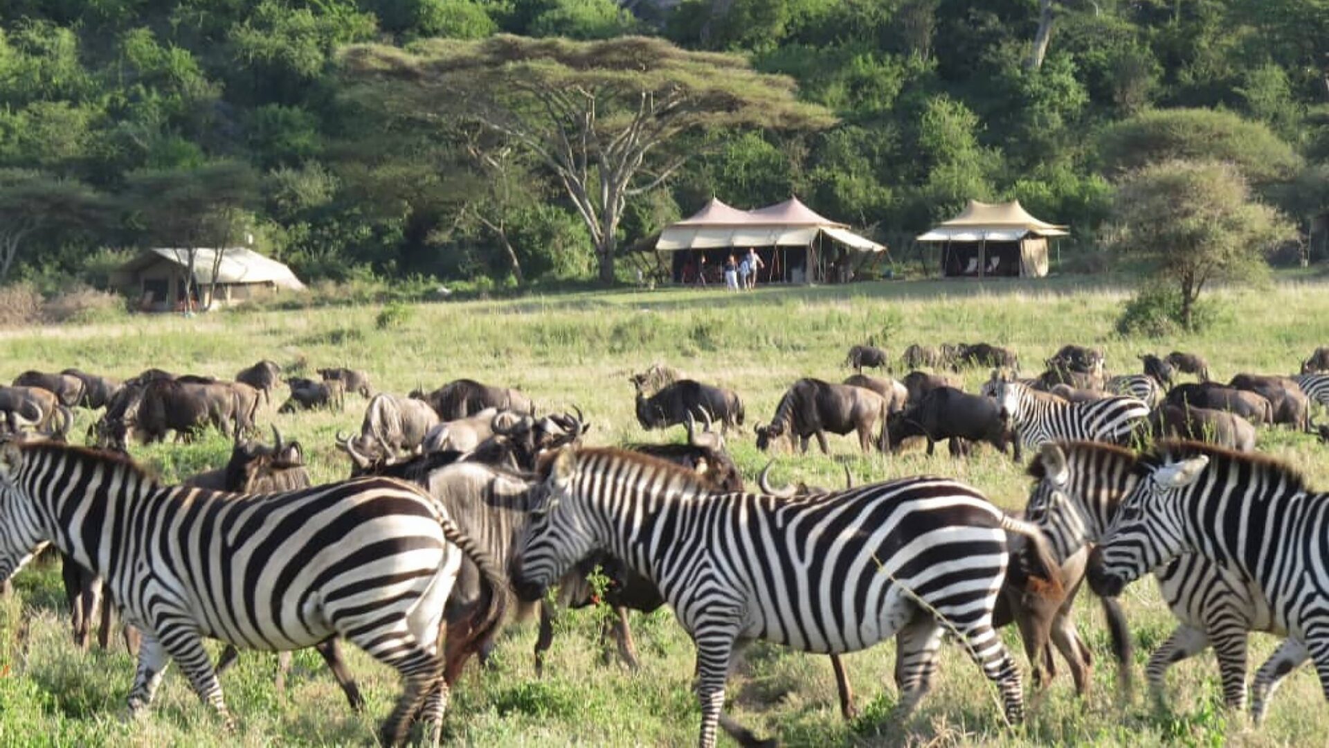 Components of Tourism Components of Tourism