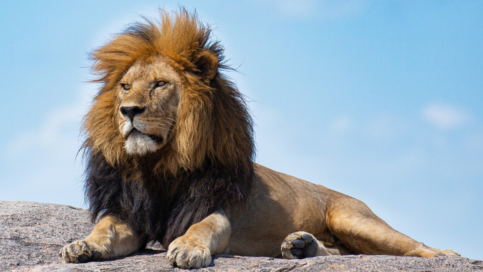 Components of Tourism Components of Tourism