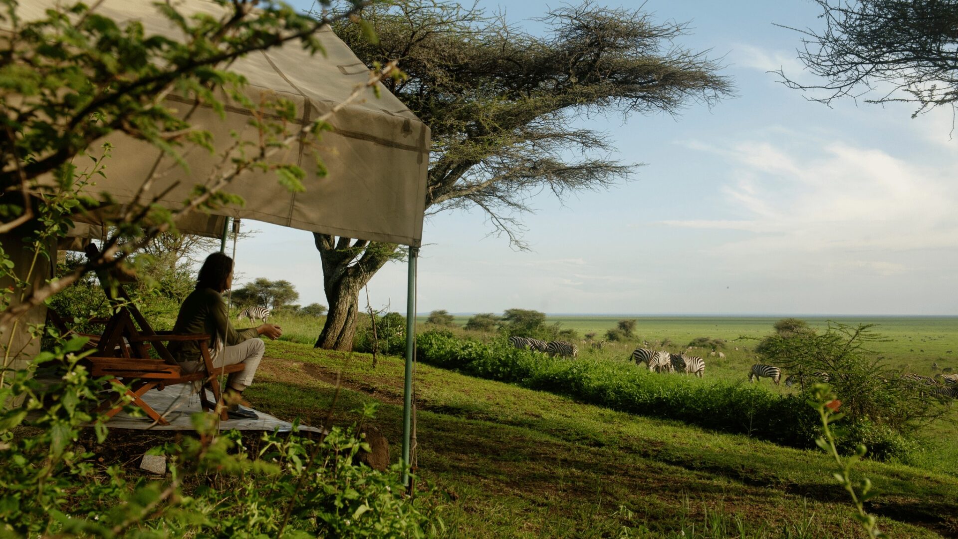 Components of Tourism Components of Tourism