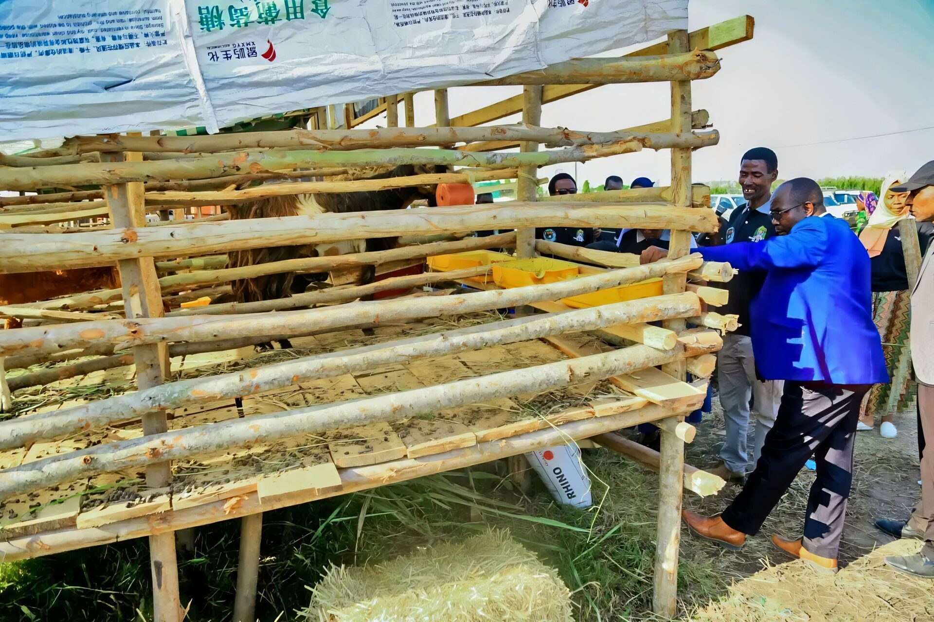 veterinary medicines