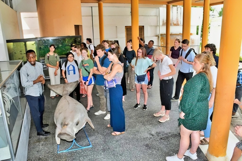 National Museum of Tanzania