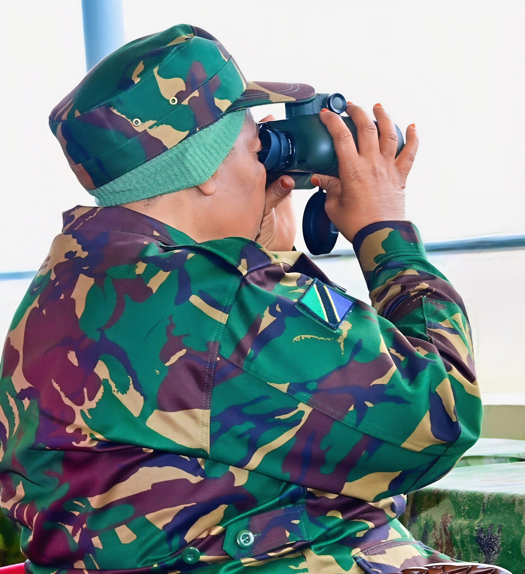 Tanzanian armed forces