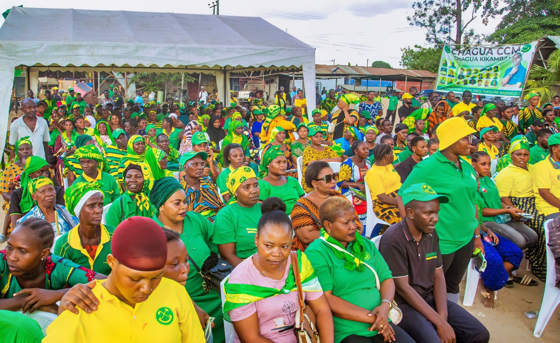 Local Government Elections