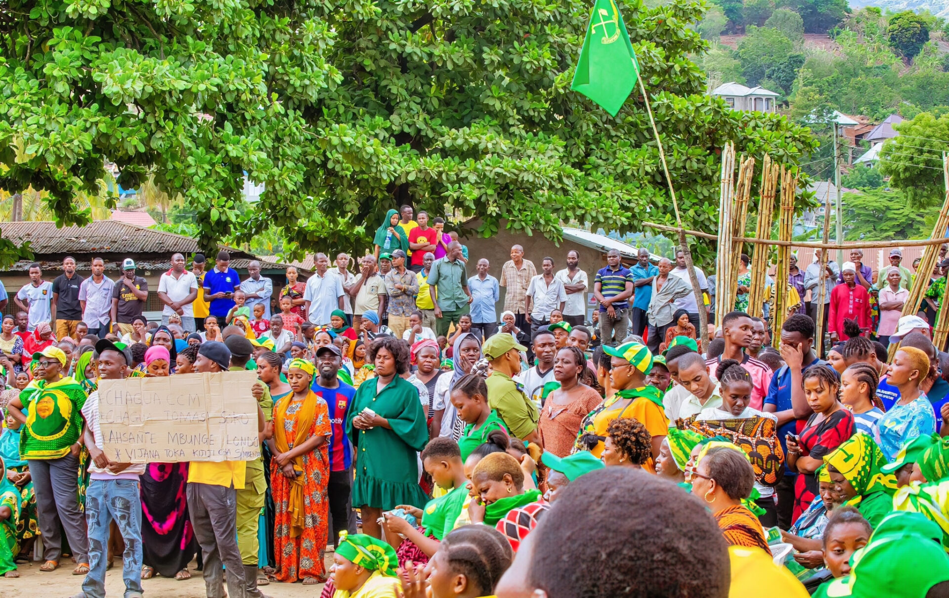Local Government Elections