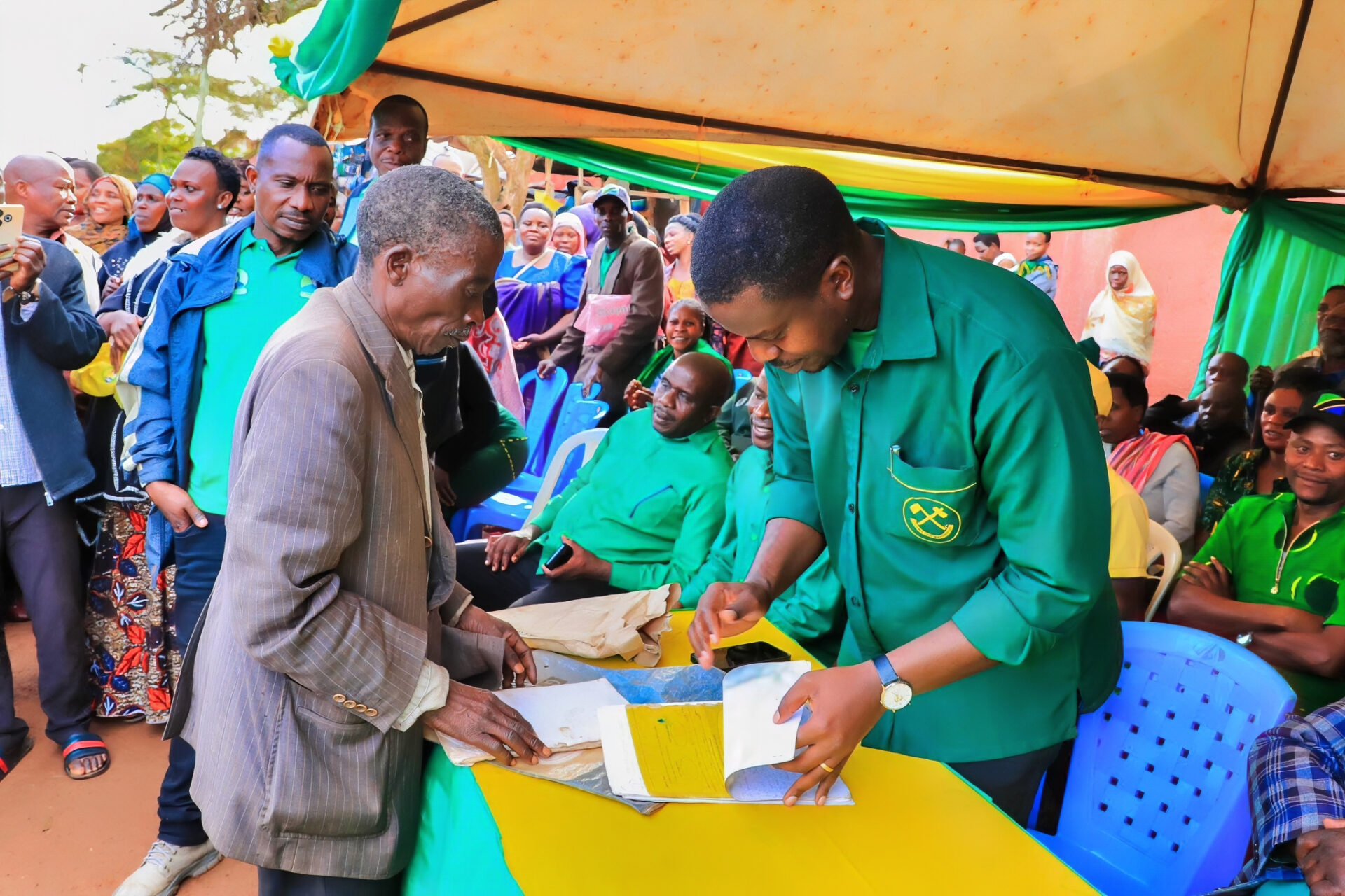 Local Government Elections