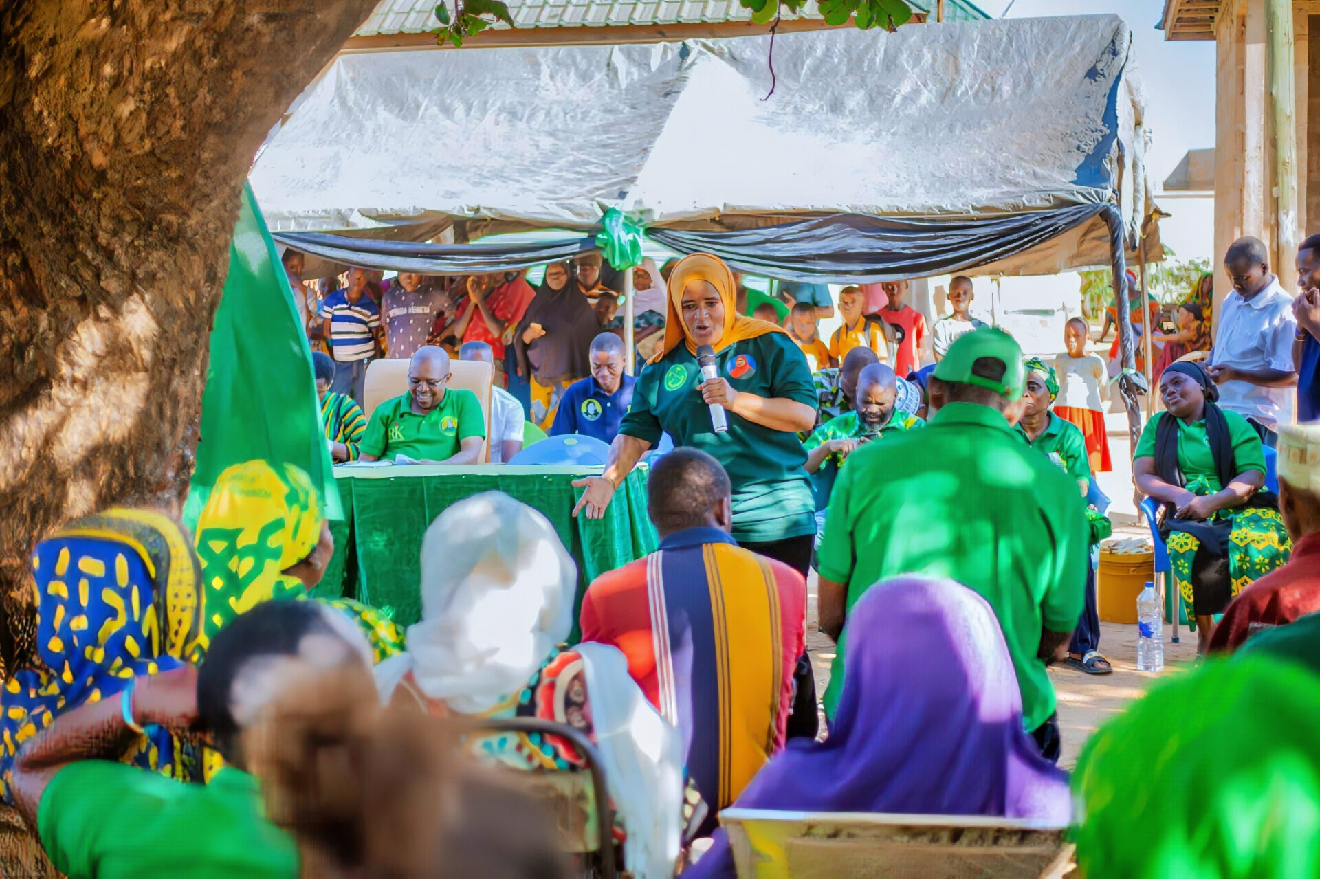 Local Government Elections