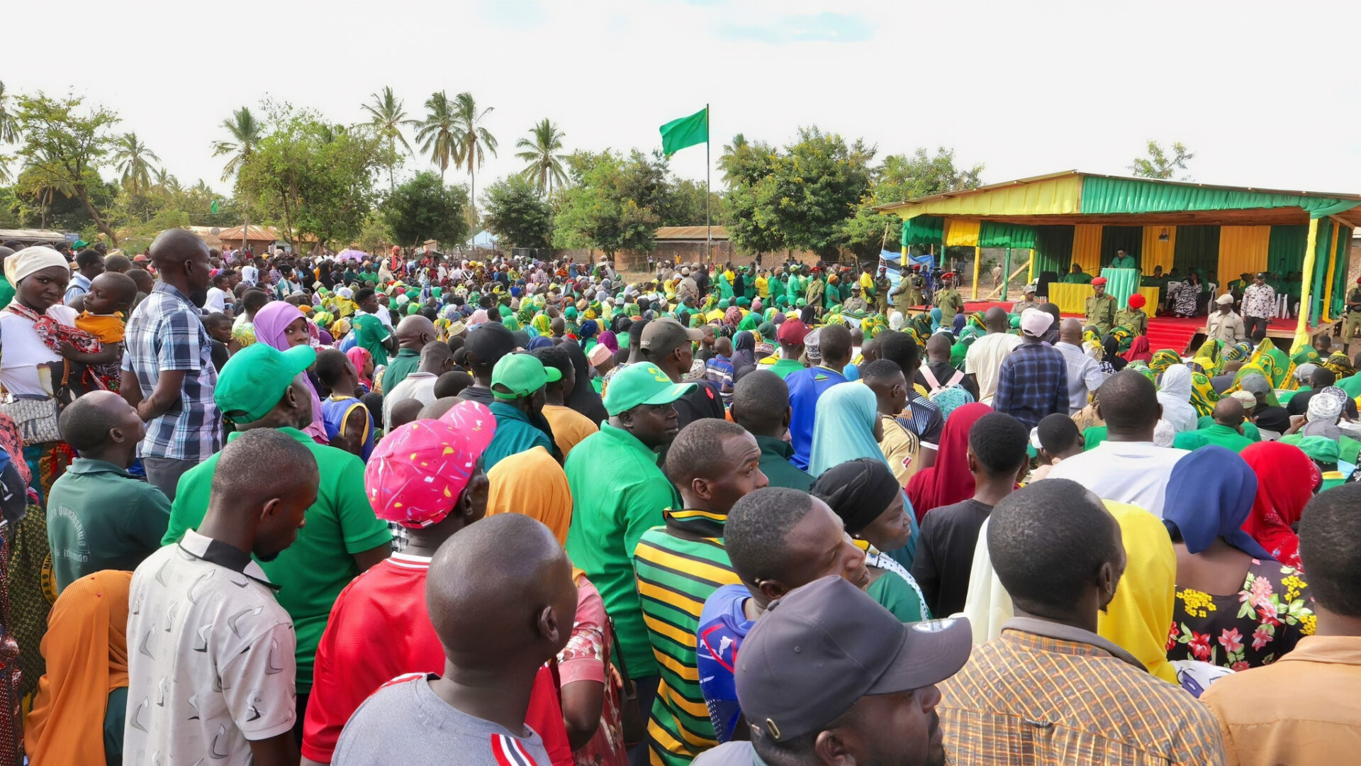 Local Government Elections