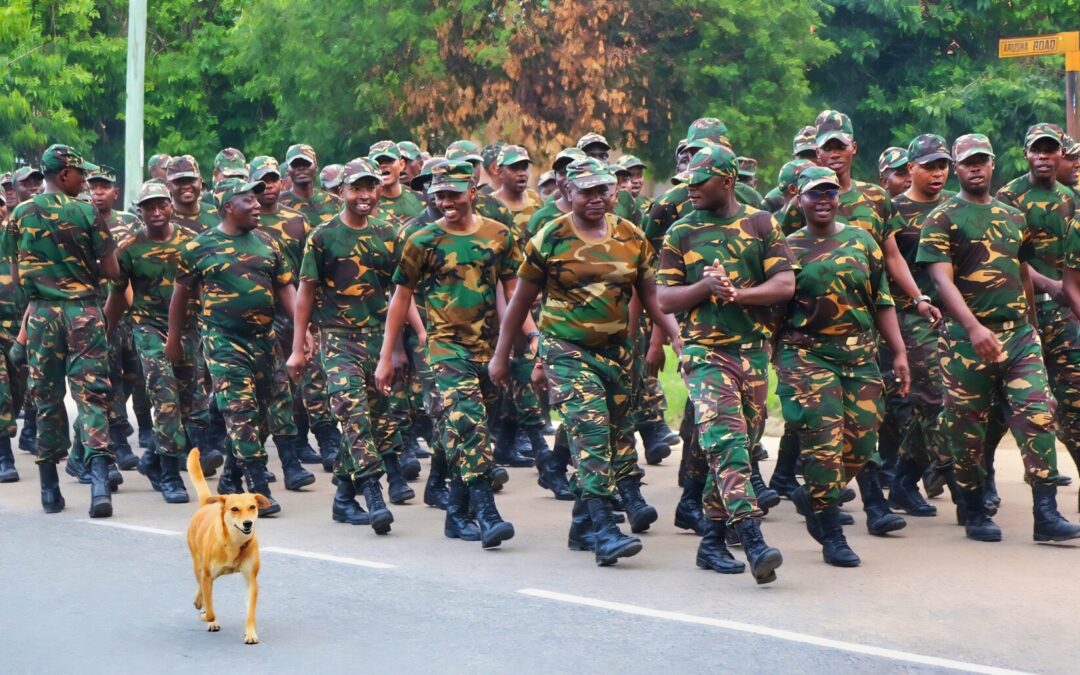 Tanzania's Defence Forces