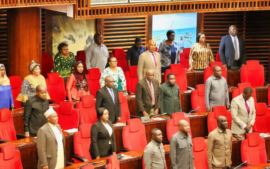 Parliamentary Debate in Tanzania