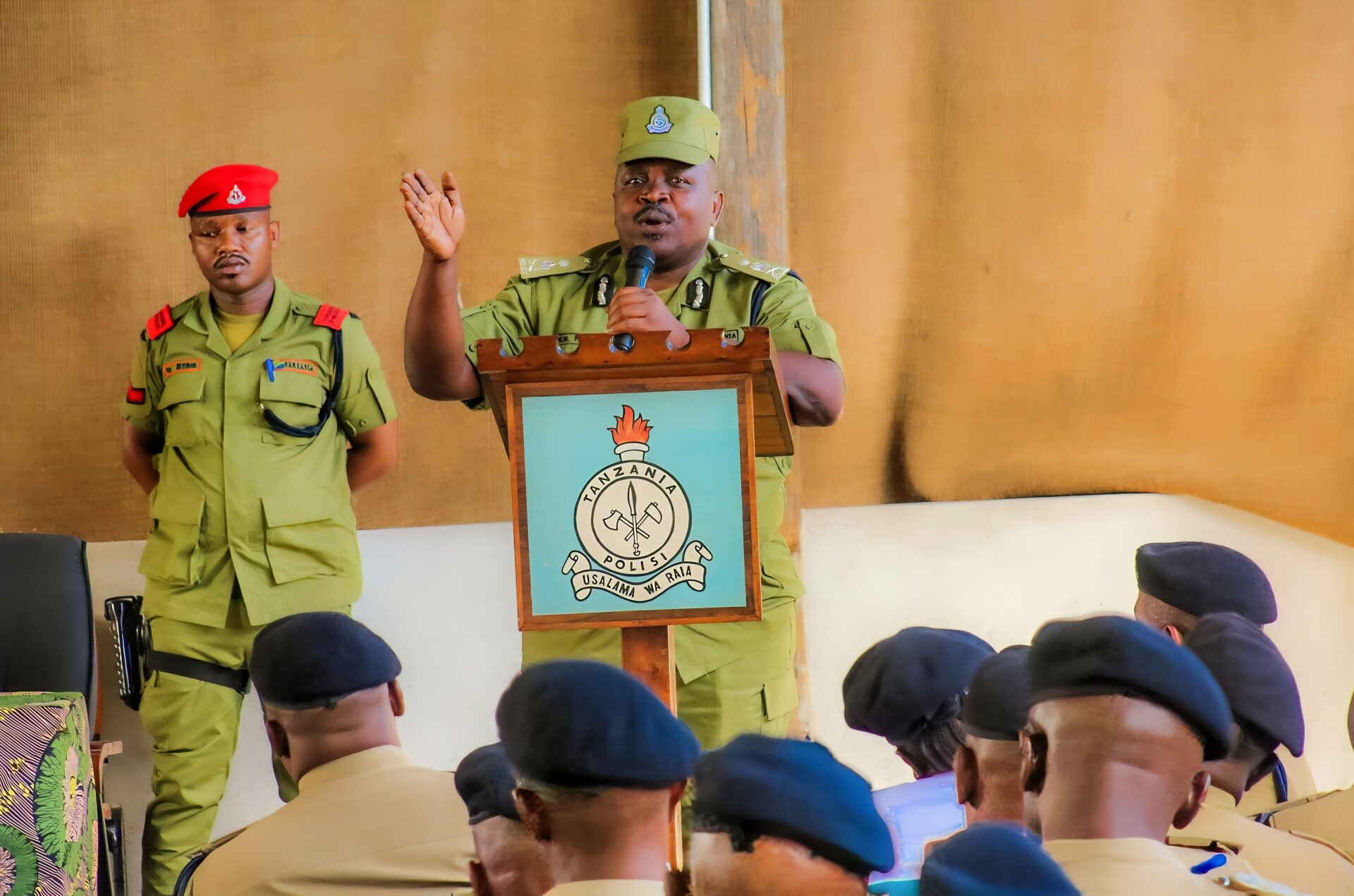 Policing in Tanzania