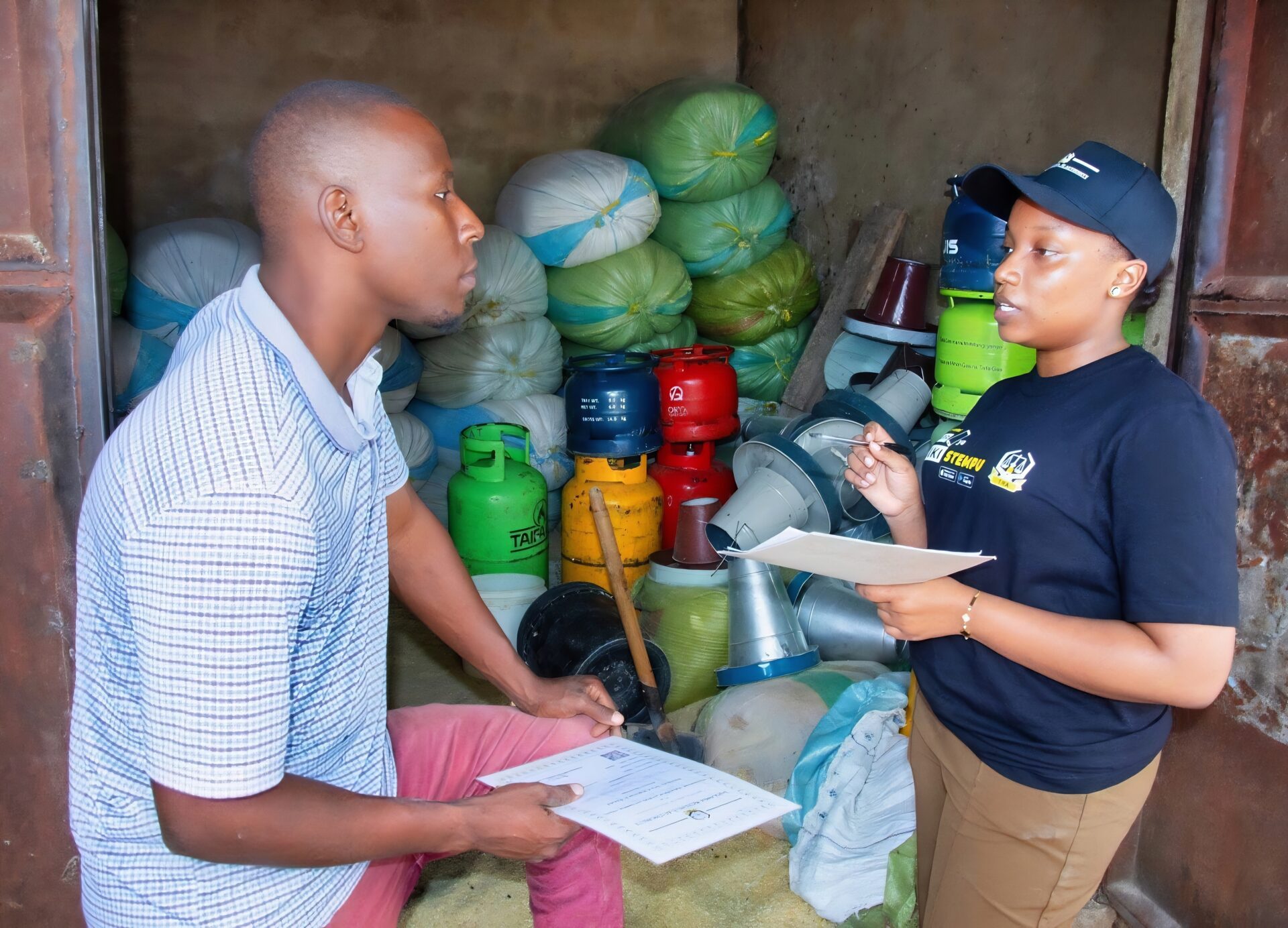 Tax Processes in Tanzania